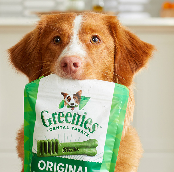 Greenies Dental Chews for Dogs