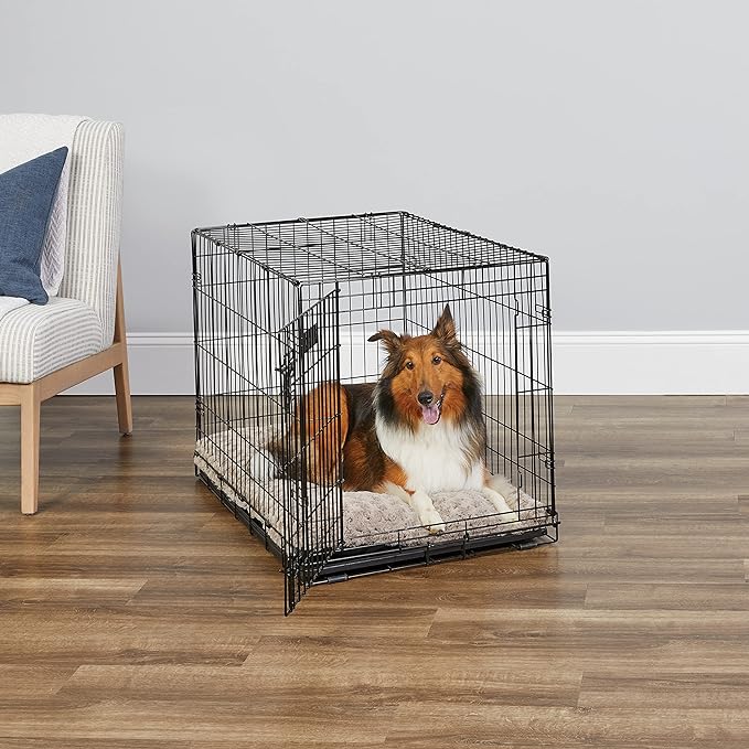 Midwest Homes for Pets Dog Crate