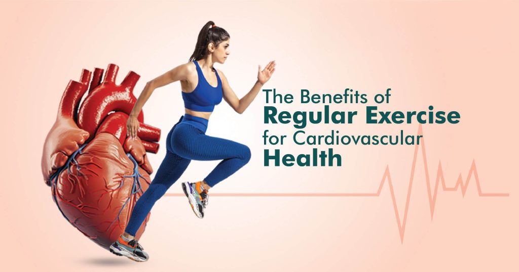 the benefits of regular exercise for cardiovascular health